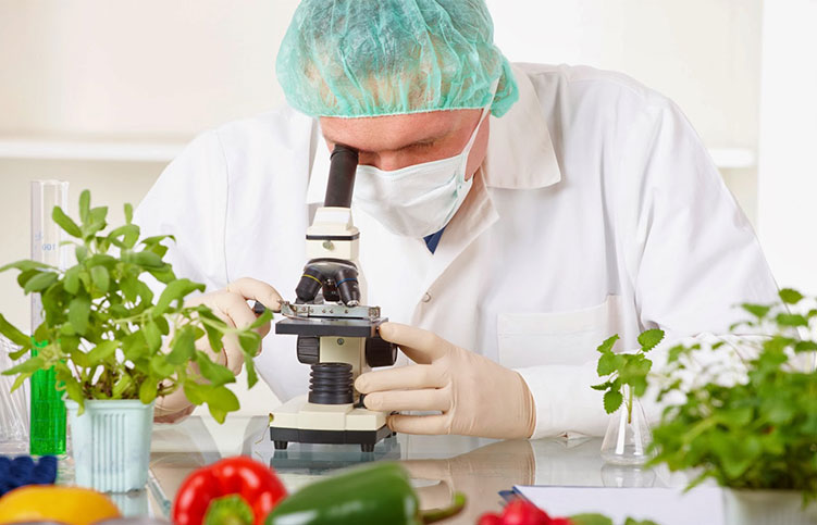 Carrera en Tecnología de Alimentos - Universidad de San José en Costa Rica